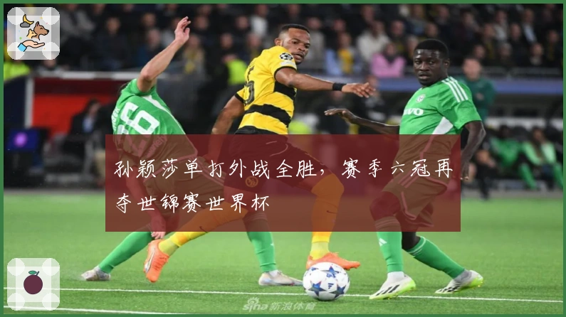 孙颖莎单打外战全胜，赛季六冠再夺世锦赛世界杯