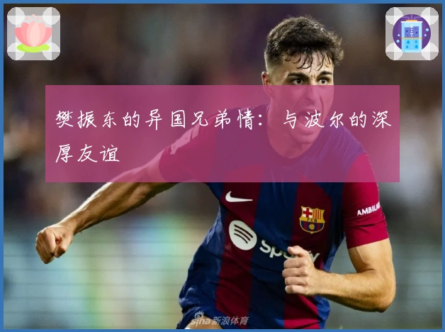 樊振东的异国兄弟情：与波尔的深厚友谊