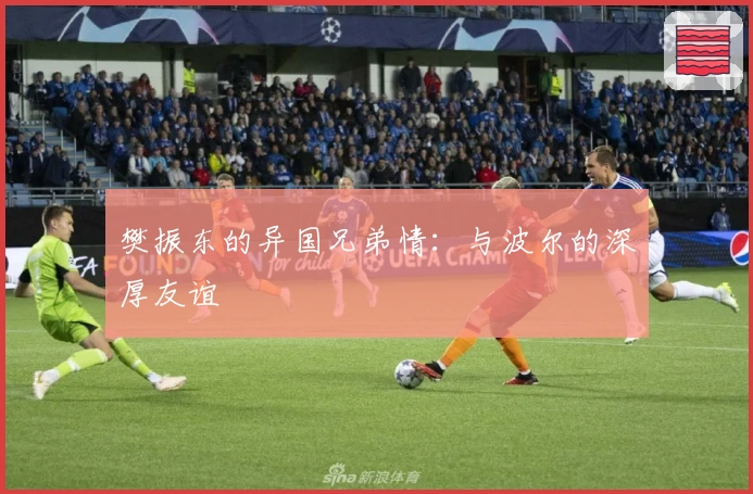 樊振东的异国兄弟情：与波尔的深厚友谊