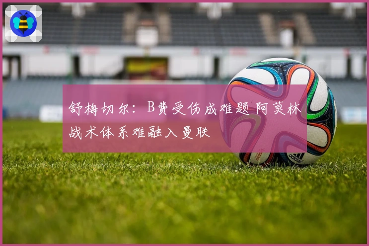 舒梅切尔：B费受伤成难题 阿莫林战术体系难融入曼联